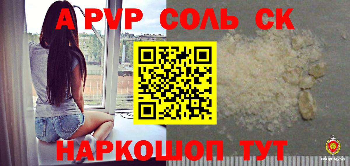 Альфа ПВП СК Губкин