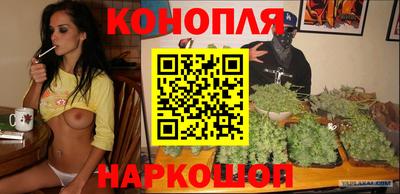 Альфа ПВП Бийск