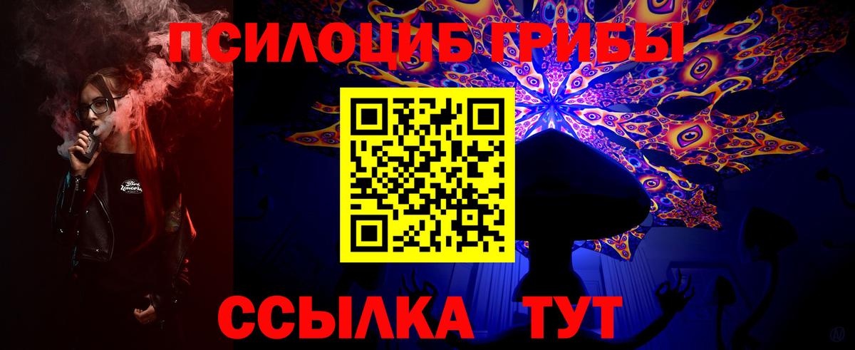 Псилоцибиновые грибы Psilocybine cubensis Губкин