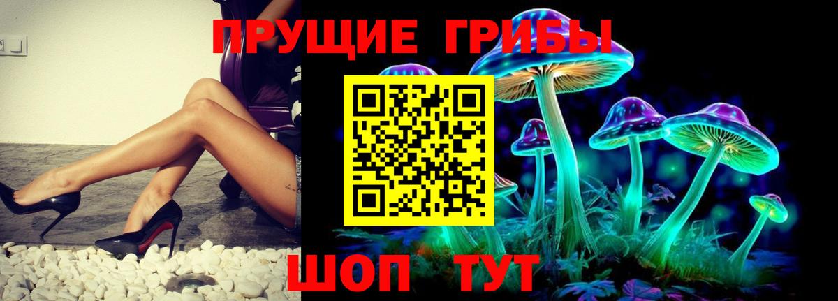 Губкин  Галлюциногенные грибы Cubensis  Вход с VPN 