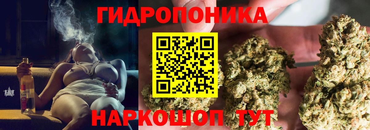 МАРИХУАНА ГИДРОПОН Губкин